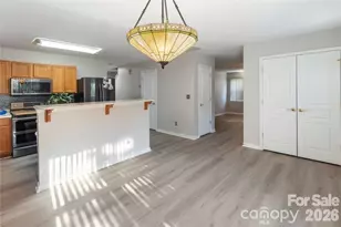 317 Ashton Bluff Cir, Mount Holly, NC 28120 - Photo 11