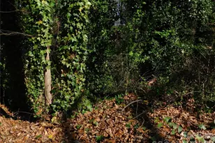 000 Todd Dr NE, Concord, NC 28025 - Photo 3