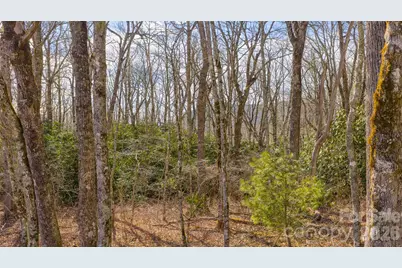 Tbd Garden Trail, Highlands, NC 28741 - Photo 5