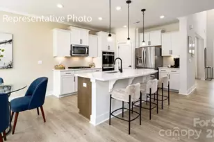 3117 Spring Iris Dr, Denver, NC 28037 - Photo 37