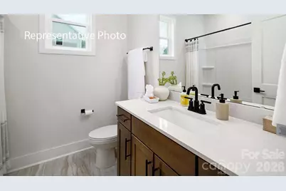 3117 Spring Iris Drive, Denver, NC 28037 - Photo 11