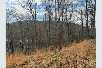 233 Lyday Creek Road, Pisgah Forest, NC 28768 - Photo 3