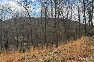 233 Lyday Creek Rd, Pisgah Forest, NC 28768 - Photo 3