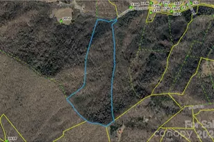 000 Elk Shoals Creek Rd, Burnsville, NC 28714 - Photo 1