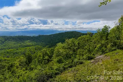 Tbd E Garden Trail #33, Hendersonville, NC 28792 - Photo 9
