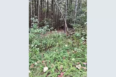 1388 Old Dry Creek Road, Morganton, NC 28655 - Photo 17