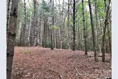 1388 Old Dry Creek Road, Morganton, NC 28655 - Photo 13