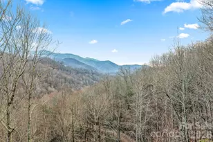 328 Mountain Lion Trl, Maggie Valley, NC 28751 - Photo 5