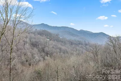 328 Mountain Lion Trail, Maggie Valley, NC 28751 - Photo 3