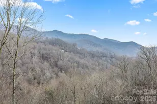 328 Mountain Lion Trl, Maggie Valley, NC 28751 - Photo 3