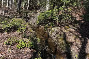 1685 Old Caroleen Rd, Forest City, NC 28043 - Photo 29