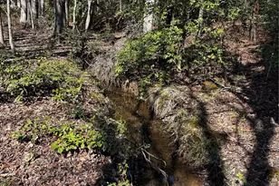 1685 Old Caroleen Rd, Forest City, NC 28043 - Photo 25