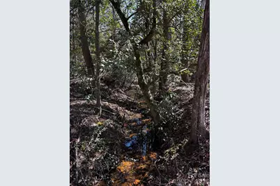 1685 Old Caroleen Road, Forest City, NC 28043 - Photo 33