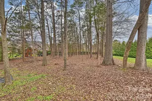 410 Deer Brush Ln, Waxhaw, NC 28173 - Photo 19