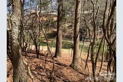 U6/L45 Ottaray Court, Brevard, NC 28712 - Photo 3