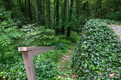 168 River Ridge Road, Brevard, NC 28712 - Photo 45