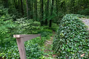 168 River Ridge Rd, Brevard, NC 28712 - Photo 45