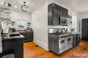 219 Stoney Mountain Rd, Hendersonville, NC 28791 - Photo 9