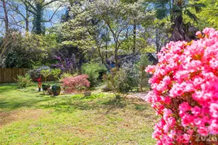 3928 Langhorne Ave, Charlotte, NC 28205 - Photo 47