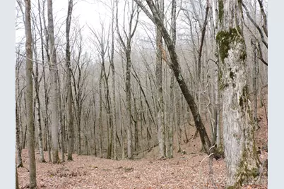 191 Bens Bend, Bakersville, NC 28705 - Photo 15