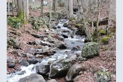 191 Bens Bend, Bakersville, NC 28705 - Photo 25