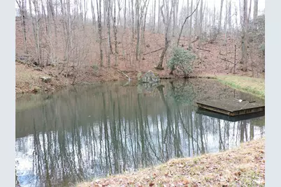 191 Bens Bend, Bakersville, NC 28705 - Photo 9