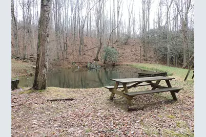 191 Bens Bend, Bakersville, NC 28705 - Photo 11