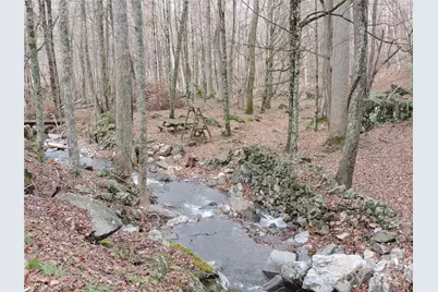 191 Bens Bend, Bakersville, NC 28705 - Photo 23