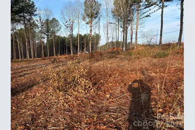 0.69 Acre Church Road, Taylorsville, NC 28681 - Photo 13