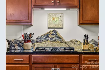 70 Greenwells Glory Drive, Biltmore Lake, NC 28715 - Photo 19