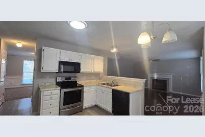 14109 Southbridge Forest Drive, Charlotte, NC 28273 - Photo 5