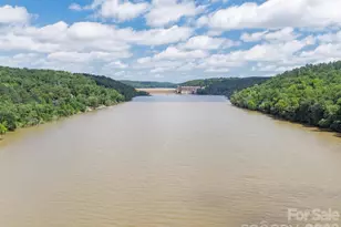 887 Living Waters Dr, Great Falls, SC 29055 - Photo 45