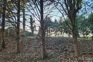 8 John St, Asheville, NC 28801 - Photo 1