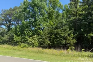 0 Long Creek Rd, Bessemer City, NC 28016 - Photo 3