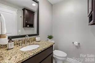 30 Stills Creek Loop, Fairview, NC 28730 - Photo 29