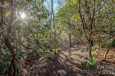 30 Stills Creek Loop, Fairview, NC 28730 - Photo 43