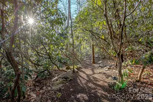 30 Stills Creek Loop, Fairview, NC 28730 - Photo 43