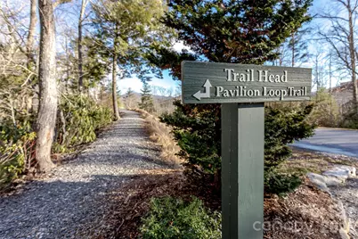 30 Stills Creek Loop, Fairview, NC 28730 - Photo 41