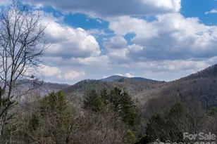 54 Weldon Way, Fairview, NC 28730 - Photo 43