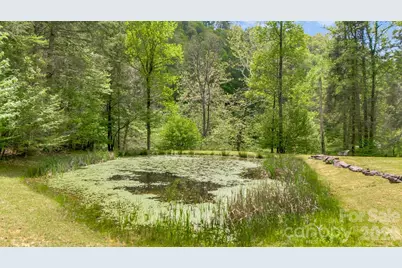 16 Caddis Court, Marshall, NC 28753 - Photo 37