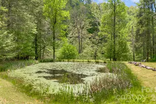 16 Caddis Ct, Marshall, NC 28753 - Photo 37