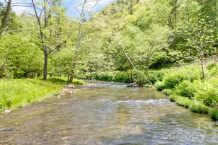 16 Caddis Ct, Marshall, NC 28753 - Photo 39