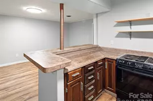 36 Auburndale Dr, Asheville, NC 28806 - Photo 25