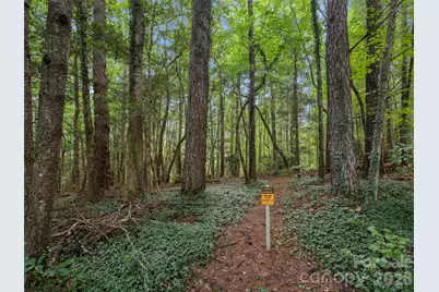 36 Auburndale Drive, Asheville, NC 28806 - Photo 5