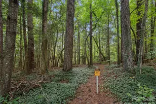 36 Auburndale Dr, Asheville, NC 28806 - Photo 5