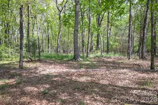 824 N Forest Hills School Rd, Marshville, NC 28103 - Photo 47