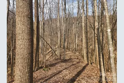 363 Center Church Road, Hiddenite, NC 28636 - Photo 5