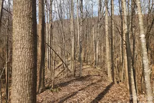 363 Center Church Rd, Hiddenite, NC 28636 - Photo 5