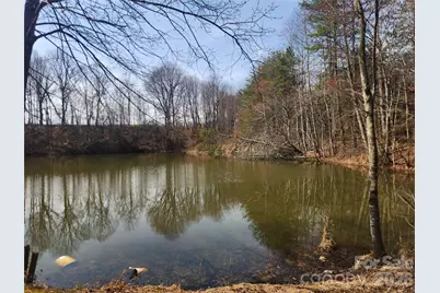 363 Center Church Road, Hiddenite, NC 28636 - Photo 43