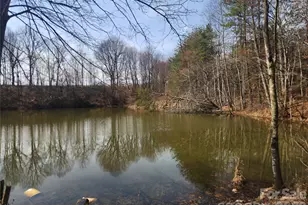 363 Center Church Rd, Hiddenite, NC 28636 - Photo 43